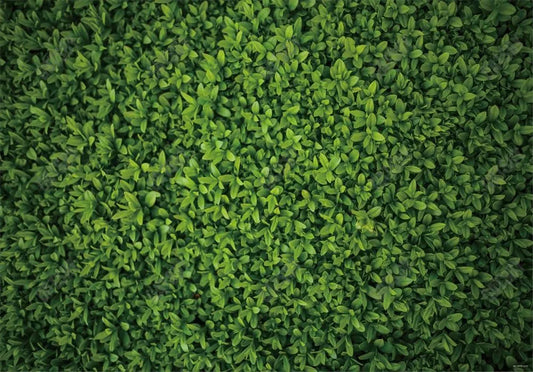 Green Leaves Wall Backdrop - Gatsby Backdrop