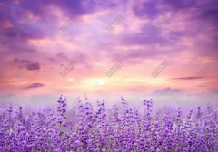 Lavender Flower Field at Sunset Backdrop - Gatsby Backdrop