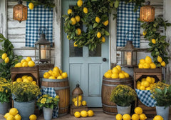 Lemonade Porch Photography Backdrop Ym8T-B0434 - Gatsby Backdrop