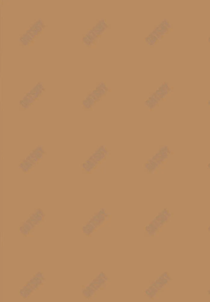 Light Brown Solid Backdrop Sm1A-00117 - Gatsby Backdrop