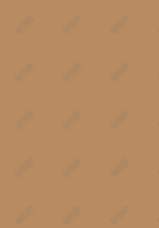 Light Brown Solid Backdrop Sm1A-00117 - Gatsby Backdrop