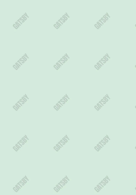Light Green Solid Backdrop Aec-00638 - Gatsby Backdrop