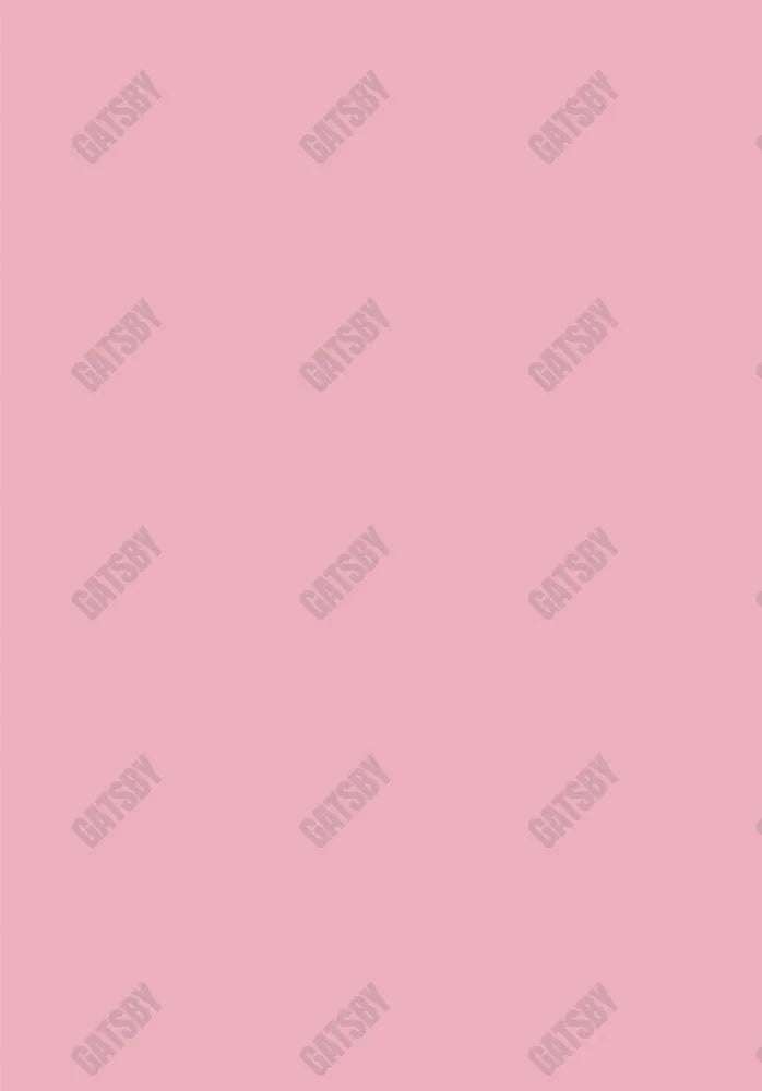 Light Pink Solid Backdrop Sm1A-00111 - Gatsby Backdrop