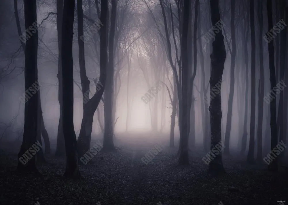 Misty Dark Forest Woods Halloween Backdrop - Gatsby Backdrop