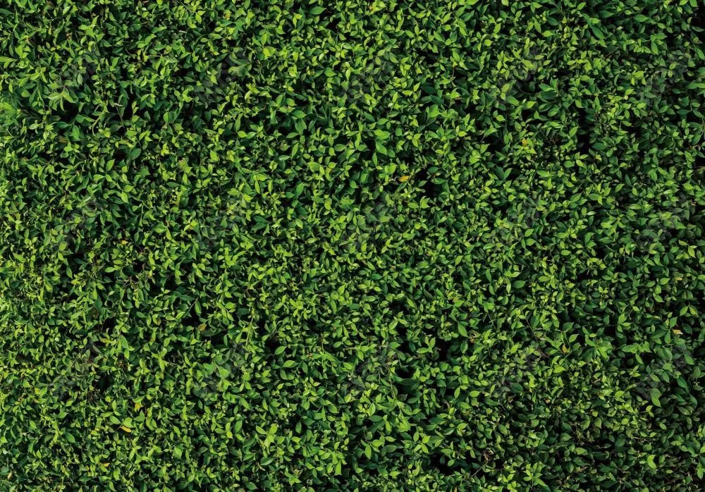 Nature Green Lawn Leaves Backdrop - Gatsby Backdrop