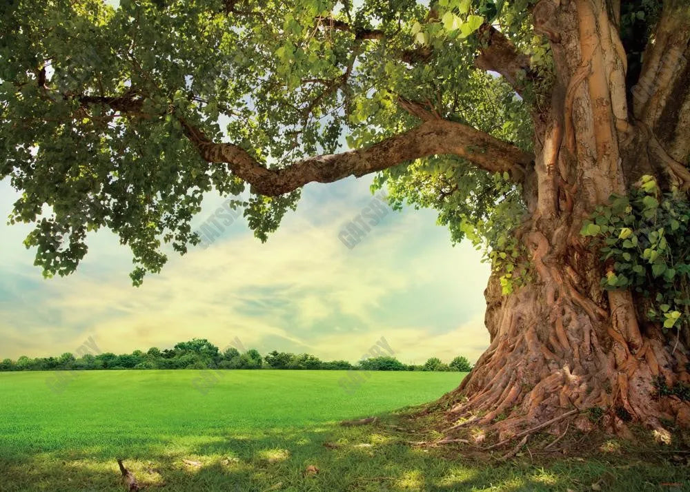 Nature Spring Backdrop - Gatsby Backdrop