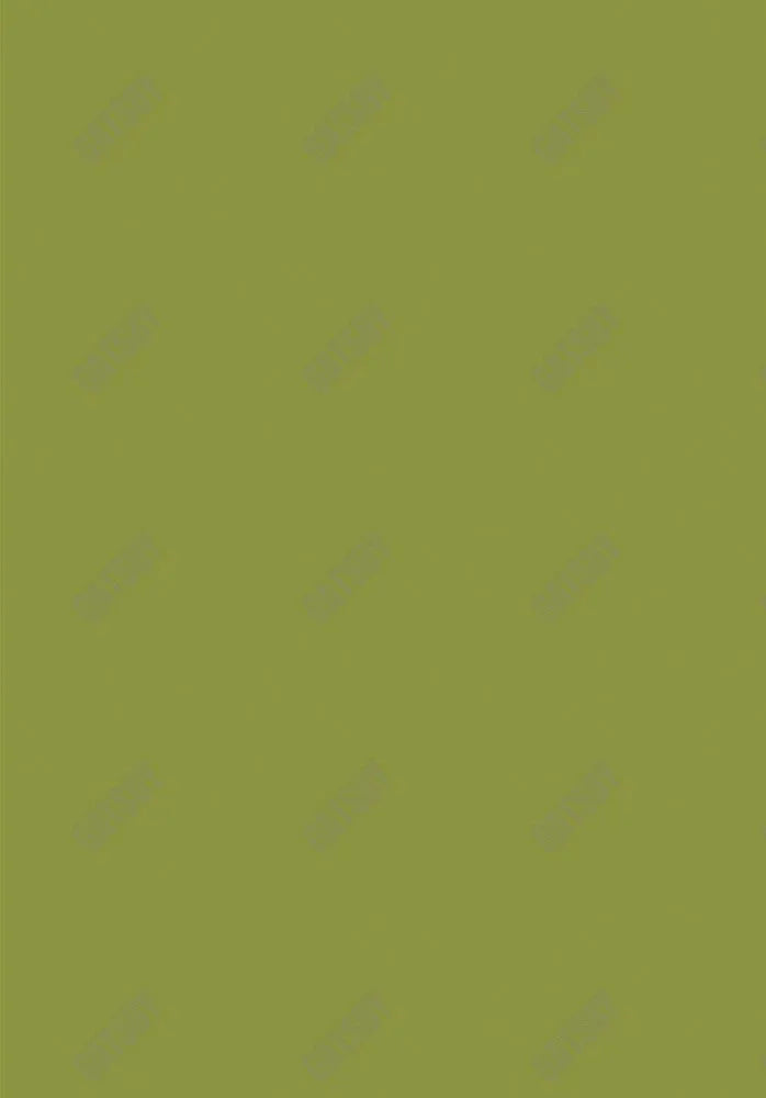 Olive Green Solid Backdrop Sm1A-00128 - Gatsby Backdrop