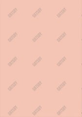 Peach Pink Solid Backdrop Sm1A-00115 - Gatsby Backdrop