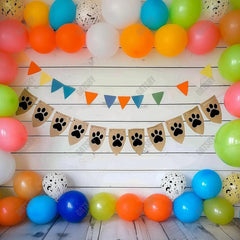 Pet Birthday Balloons Photography Backdrop GBSX-99843 - Gatsby Backdrop