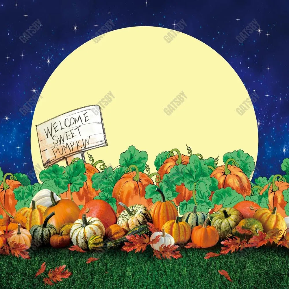 Pumpkins Field Moon Night Photography Backdrop GBSX-99871 - Gatsby Backdrop