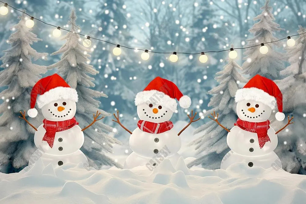 Snuggly Snowman Wonderland Photography Backdrop GBSX-99908 - Gatsby Backdrop