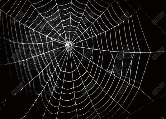 Spider Web Photography Backdrop - Gatsby Backdrop