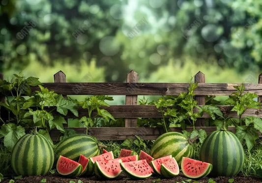 Summer Watermelon Backdrop - Gatsby Backdrop