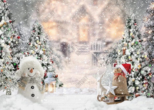 White Winter Christmas House Backdrop - Gatsby Backdrop