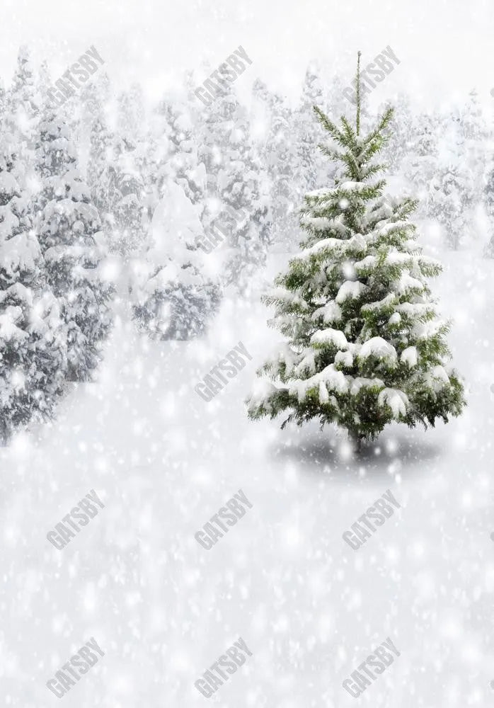 Winter Foresy Photography Backdrop GBSX-99986 - Gatsby Backdrop