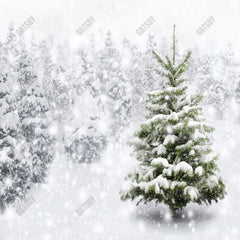 Winter Foresy Photography Backdrop GBSX-99986 - Gatsby Backdrop