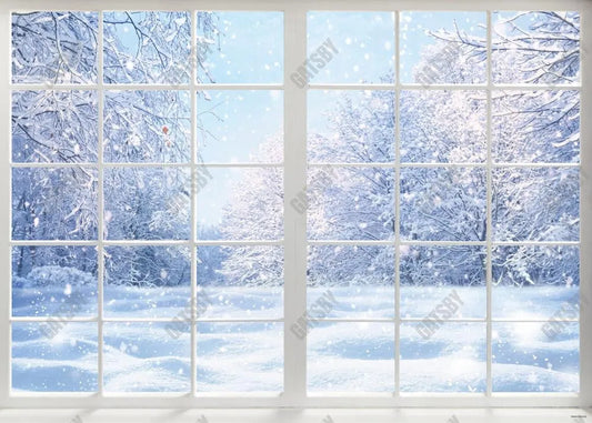 Winter Landscape Window Photography Backdrop - Gatsby Backdrop