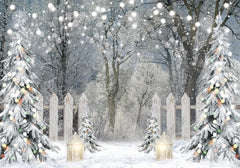 Winter Wonderland Photography Backdrop - Gatsby Backdrop